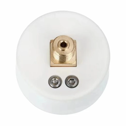 30 ATM Medical Pressure Gauge factory